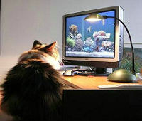 C4D灰猩猩GSG插件合集2025完整版Cinema4D建模动画渲染工具包中文版支持Win系统GreyScaleGoerilla_Plugins_Cinema4D_2025_Windows