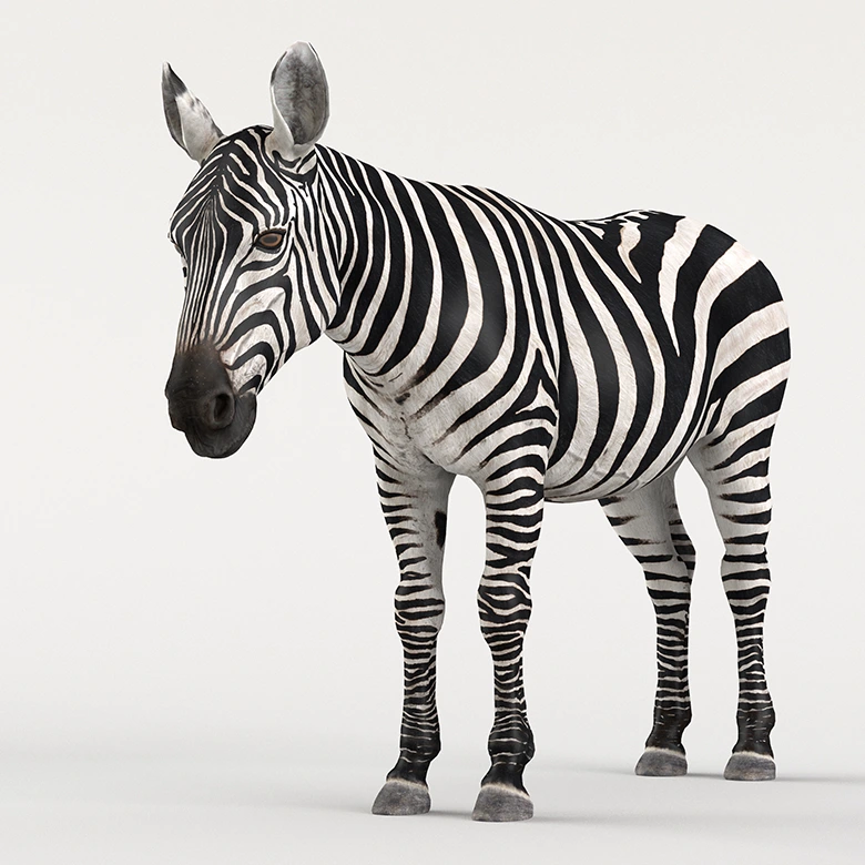 动物斑马C4D Blender OBJ格式三维模型设计素材VFX Grace – Zebra Animation