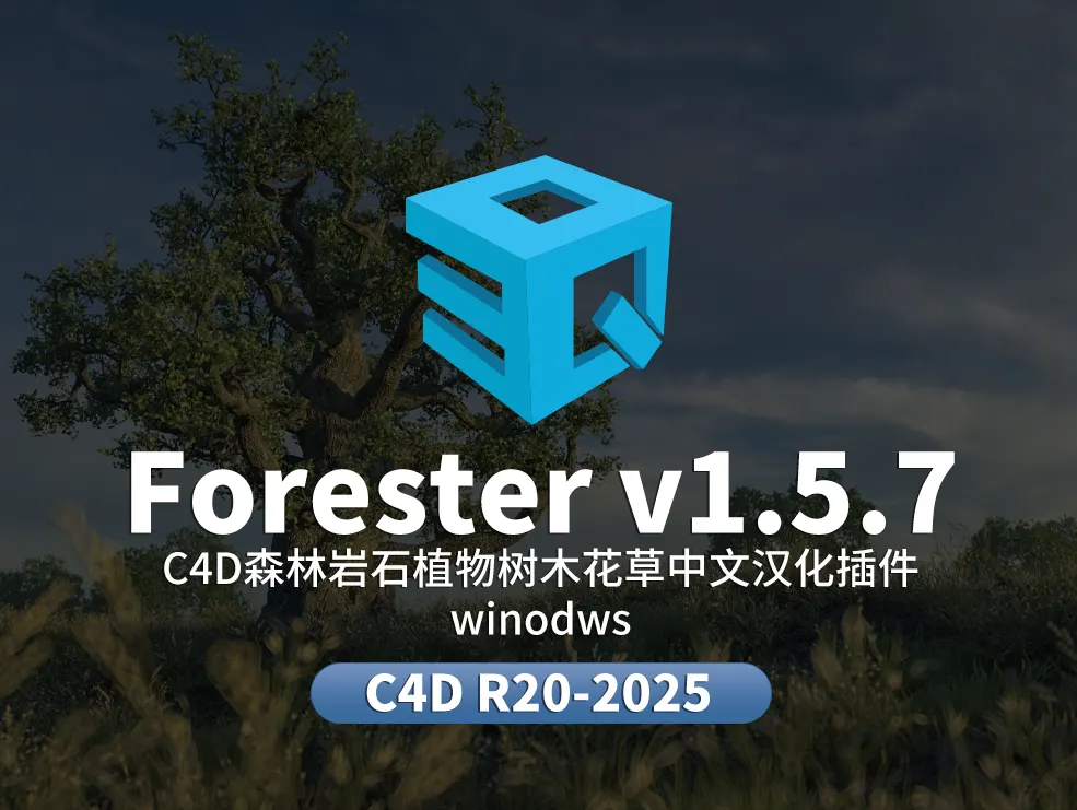 Forester大.webp